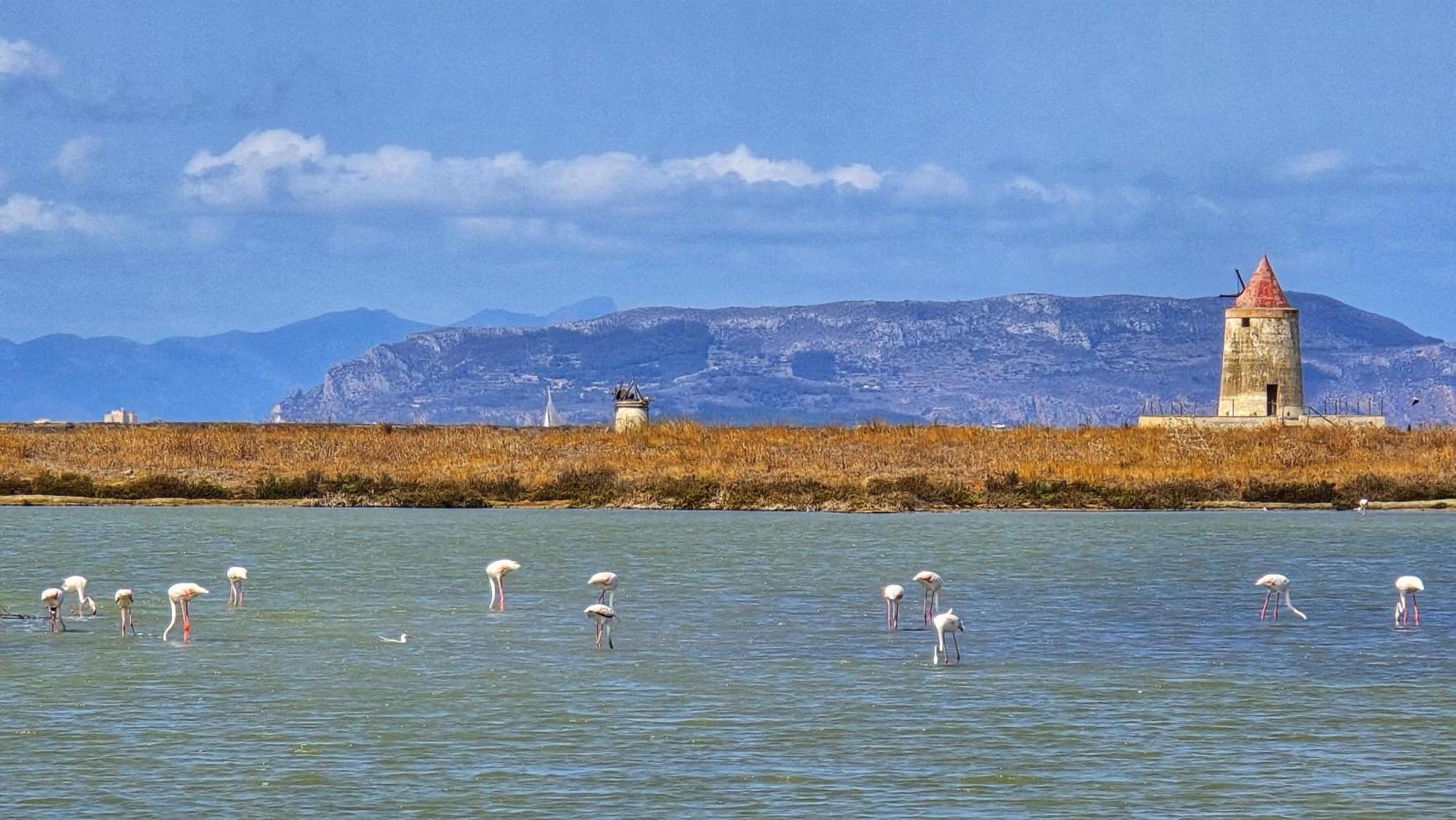 Villa Canepa Marsala Eksteriør bilde